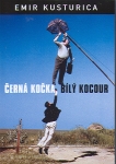 Černá kočka, bílý kocour