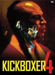 Kickboxer 4: Agresor