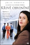 Křivé obvinění (2010)