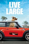 Marmaduke (2010)