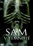 Sám v temnotě